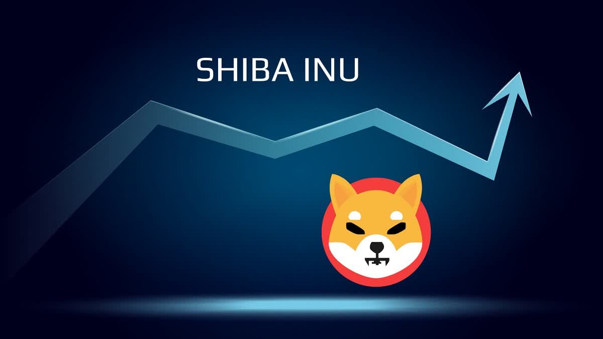 Shiba Inu is a coin (SHIB) meme-based cryptocurrency named after a dog breed Shiba Inu is a coin (SHIB) meme-based cryptocurrency named after a dog breed