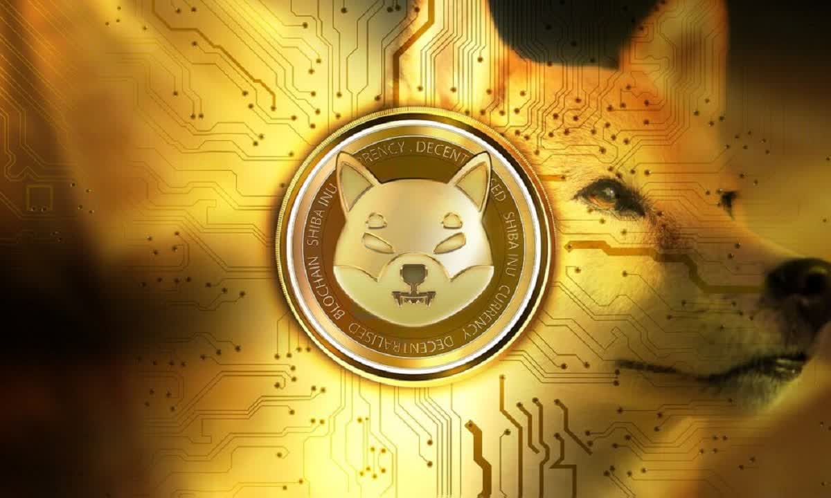 IS Shiba Inu a good investment? IS Shiba Inu a good investment?