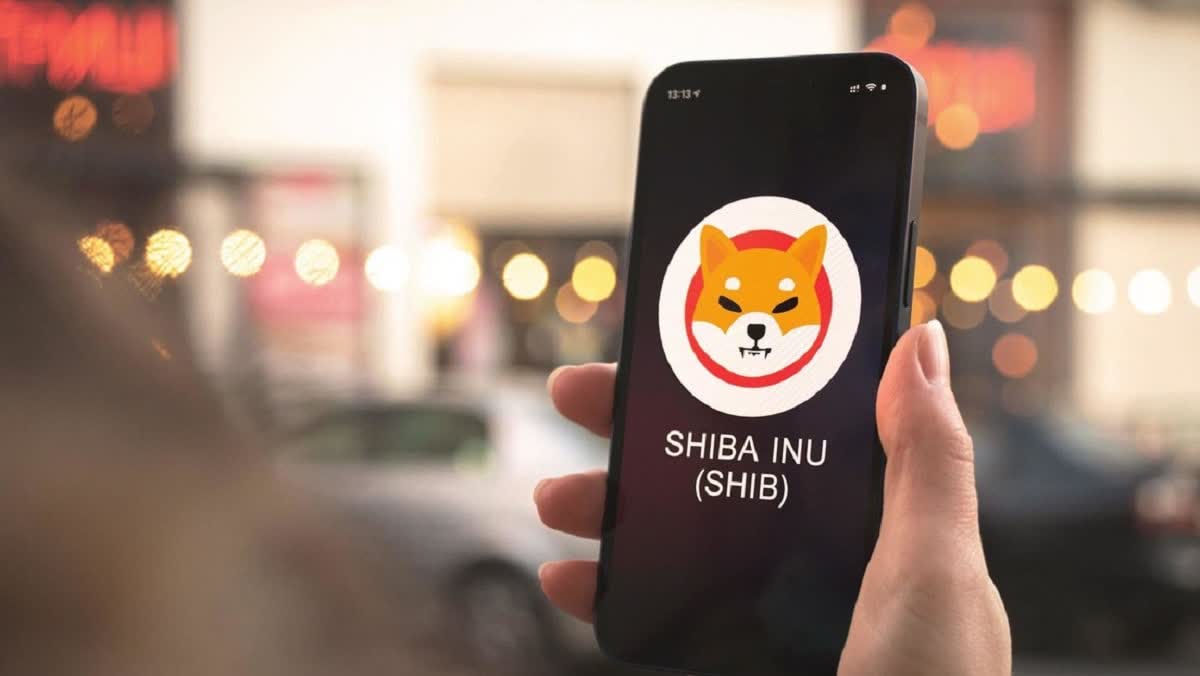 You can buy Shiba Inu easily You can buy Shiba Inu easily